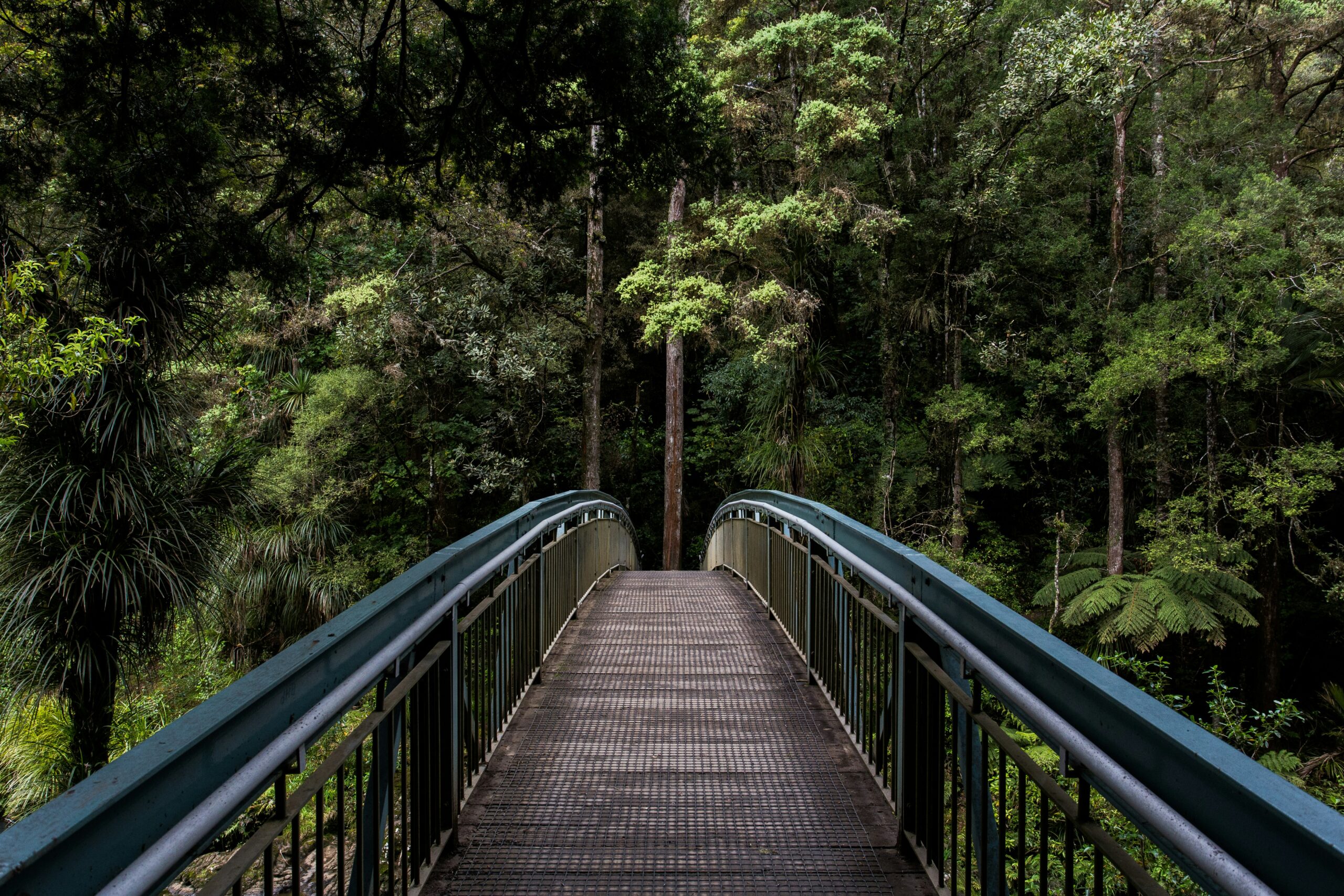 Embracing Nature: Outdoor Activities for Senior Wellness