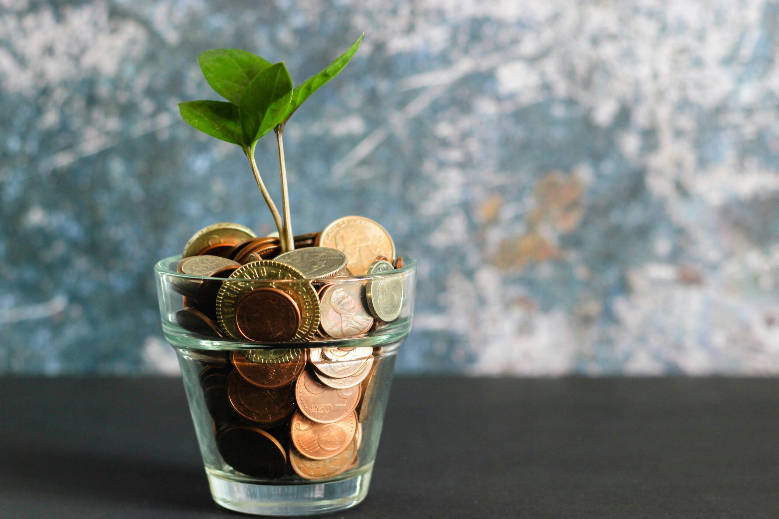 Plant growing with coins as the soil